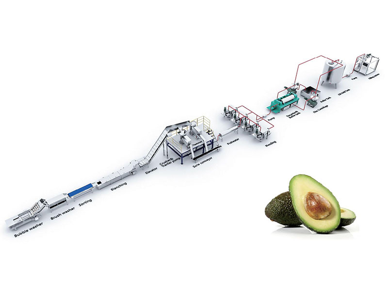 牛油果油分离设备