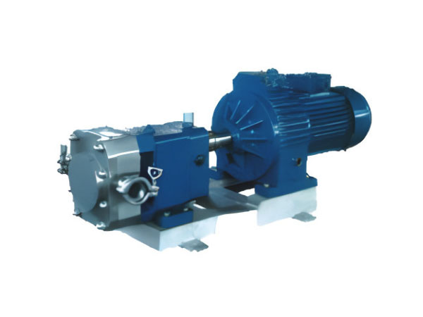 不锈钢系列转子泵