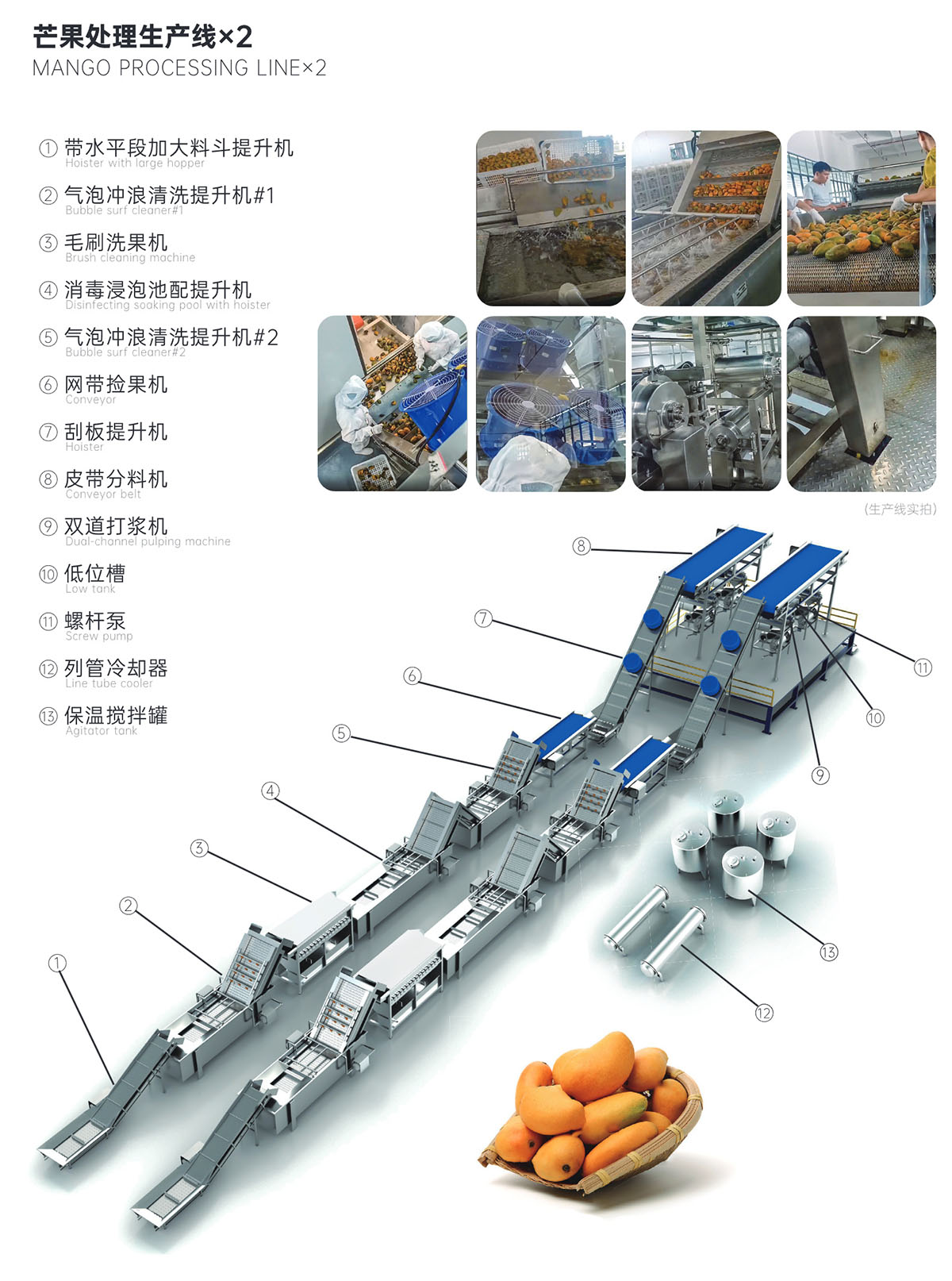 芒果处理生产线×2-1.jpg