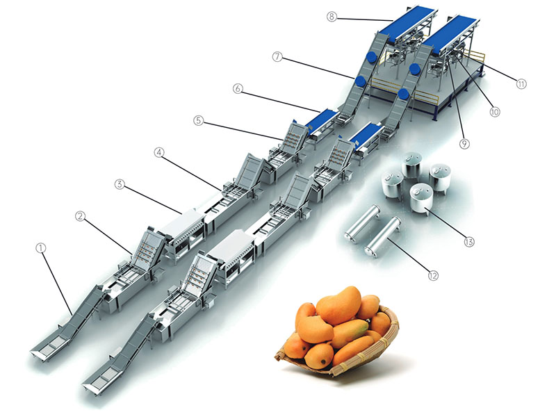 芒果处理生产线×2