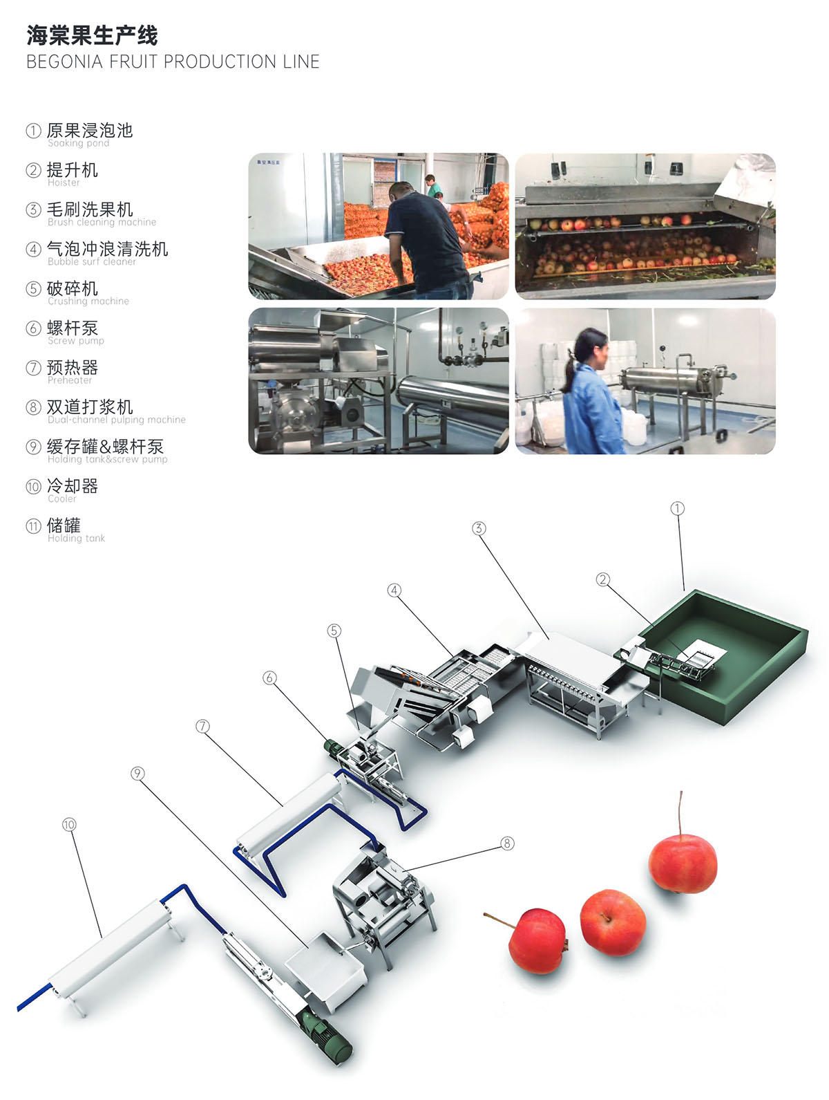 海棠果生产线-1.jpg