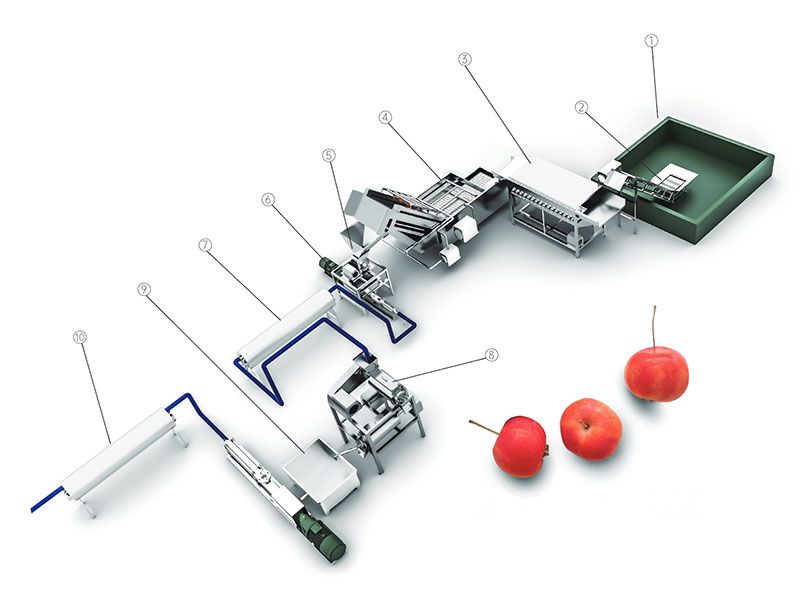 海棠果生产线
